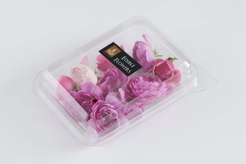 ดอกกุหลาบ-Rose