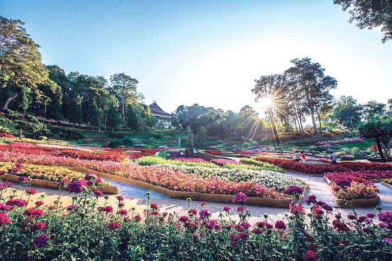 สวนแม่ฟ้าหลวง งามสะพรั่งด้วยดอกไม้สีสันสดใสดึงดูดให้ผู้มาร่วมงานได้ถ่ายรูปเช็คอินมากมาย