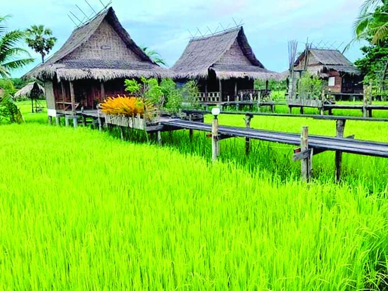 เรือนพักกลางทุ่งนา

