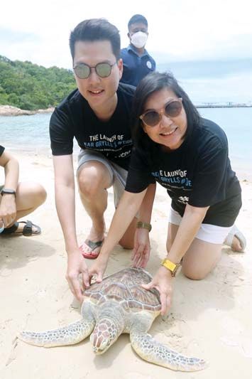 ร่วมกิจกรรมปล่อยเต่าทะเล สัตว์ทะเลหายากที่ใกล้สูญพันธุ์กลับคืนสู่ท้องทะเลที่สวยงาม