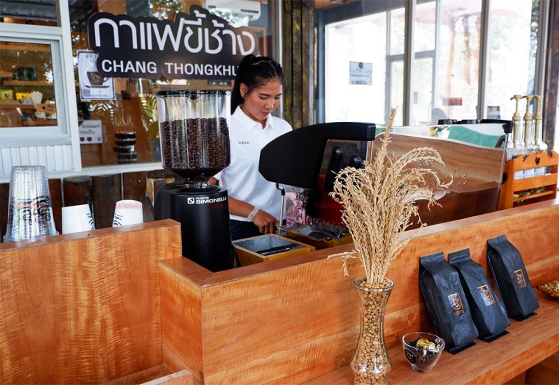 ด้านหน้าของฟาร์มช้างทองคำ จะเป็นร้านกาแฟให้นักท่องเที่ยวได้มาลิ้มชิมรส