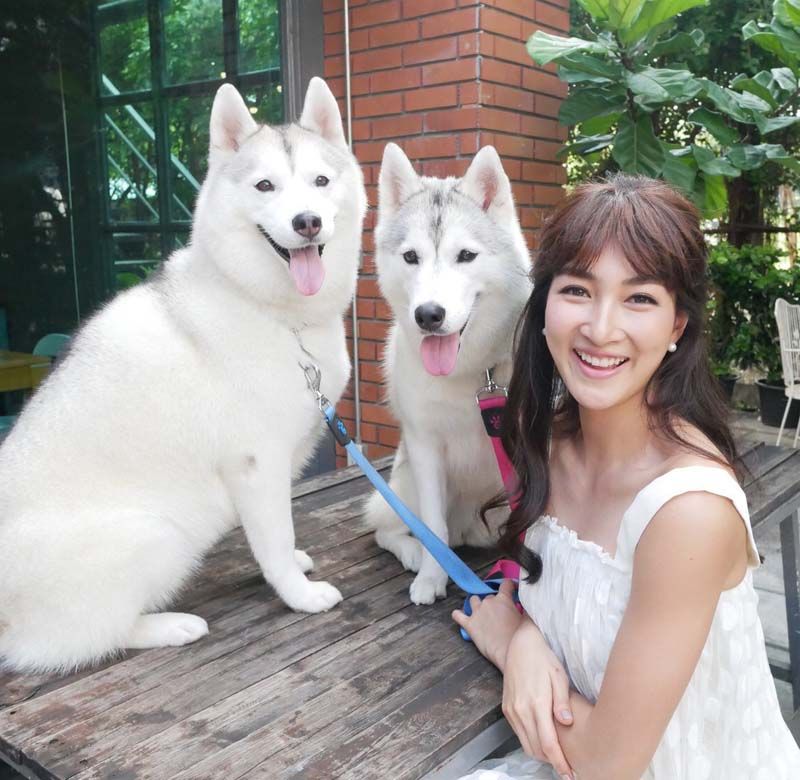 แพนเค้กกับน้องหมา