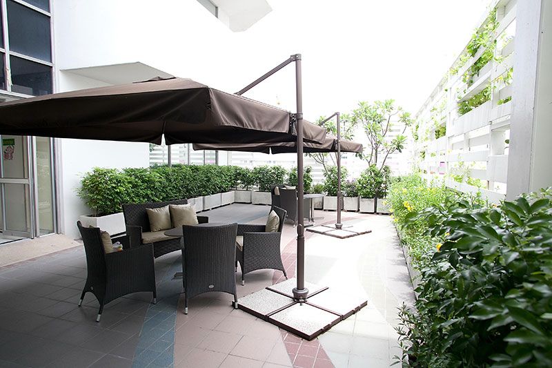 สวนหย่อม

