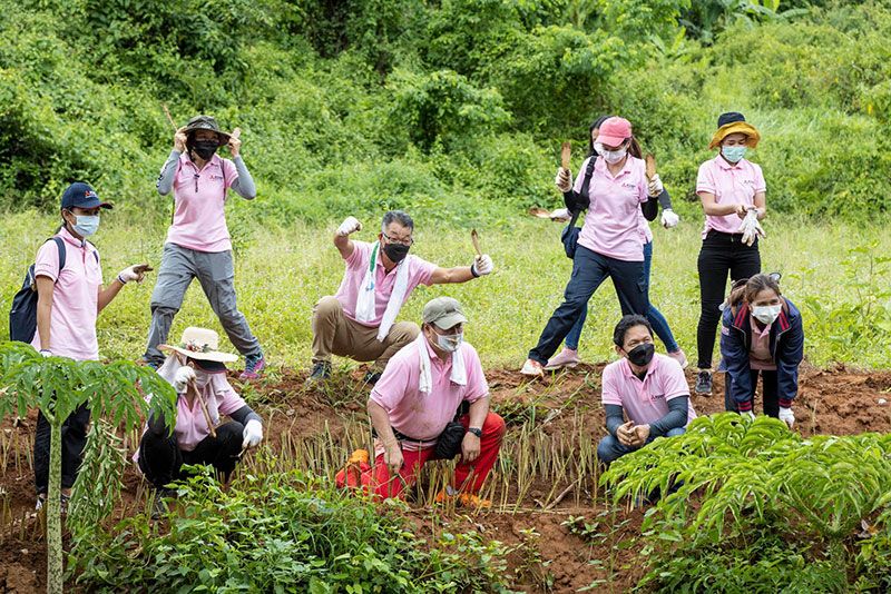 พนักงานในกลุ่มมิตซูบิชิ อิเล็คทริคไทย ร่วมกันปลูกป่า สร้างฝายคลินิกคัดกรองโรคปอด