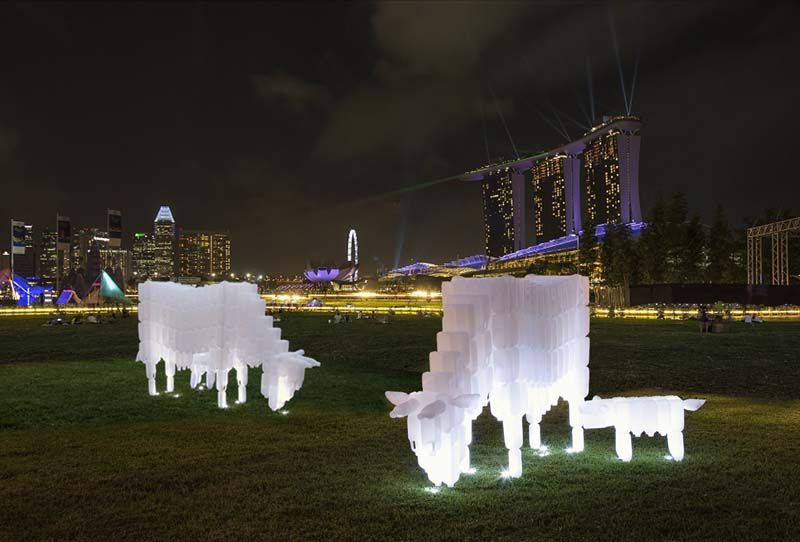 Milk Bottle Cows โดย BP Loh ศิลปินชาวสิงคโปร์