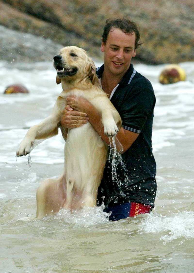 ชายหนุ่มผู้กล้าหาญ ฝ่ากระแสน้ำไปช่วยสุนัขที่ถูกกระแสน้ำพัด หลังจากเหตุการณ์ไต้ฝุ่นถล่มที่ฮ่องกง