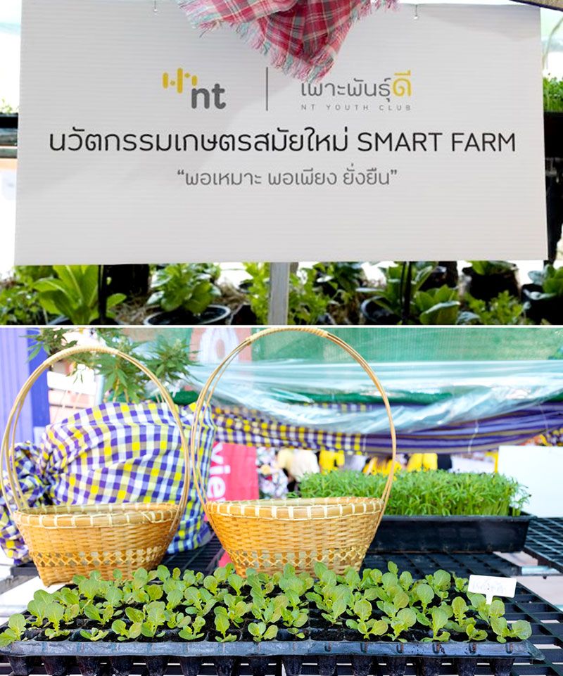 นวัตกรรมเกษตรสมัยใหม่