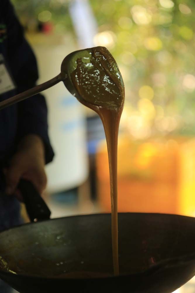 สาธิตเคี่ยวน้ำตาลอ้อยออร์แกนิกด้วยเต่าถ่าน