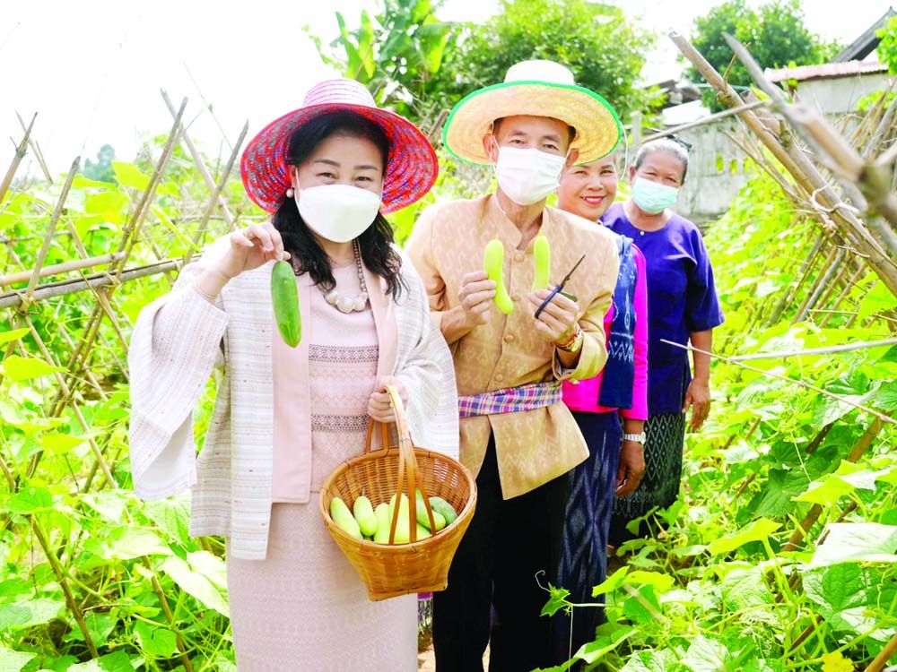ผลิตผลจากสวนเกษตรชาวบ้าน

