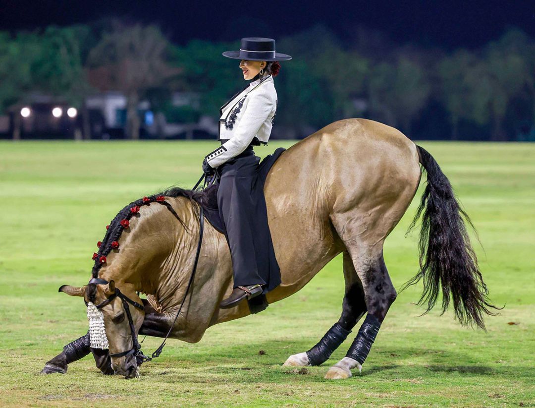 การแสดงโชว์ม้า นำโดย Maile Lavilla และ Shayan Richet

