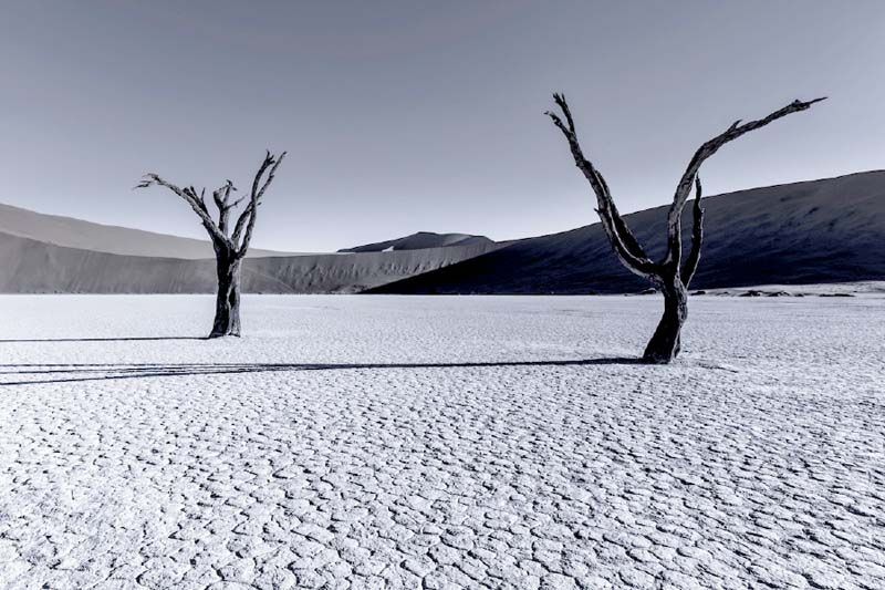 ผลงานของ Tom Jacobi