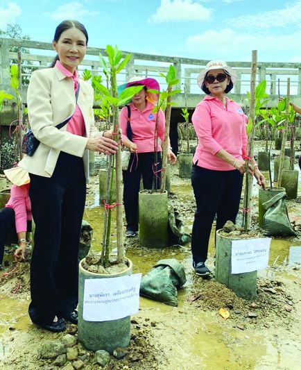 สุพัตรา เหลืองประเสริฐ นำทีมสมาชิกชมรมปลูกป่าชายเลน