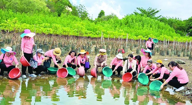 ร่วมกันปล่อยพ่อพันธุ์และแม่พันธุ์ปูม้า เพิ่มประชากรปูม้าตามธรรมชาติ