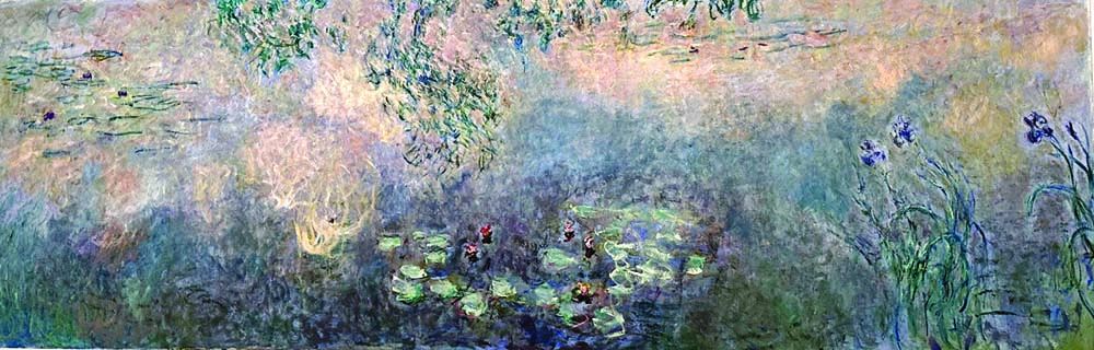 The Water Lily ponds with Irises 1914
