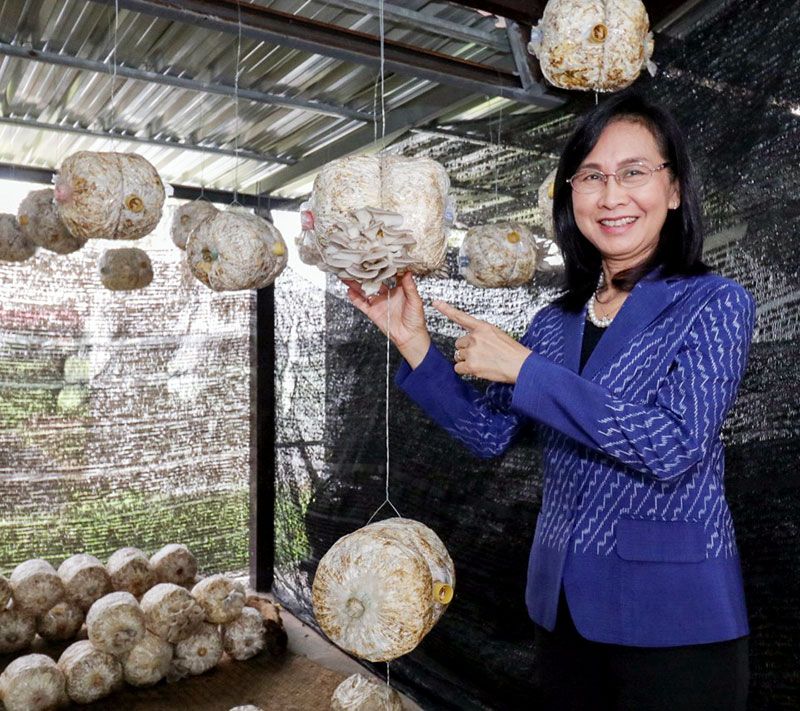 เยี่ยมชมผลิตผลของชุมชน