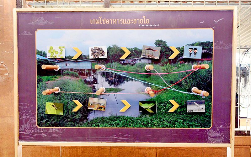 สถานีที่ 3 โซ่อาหาร และสายใย