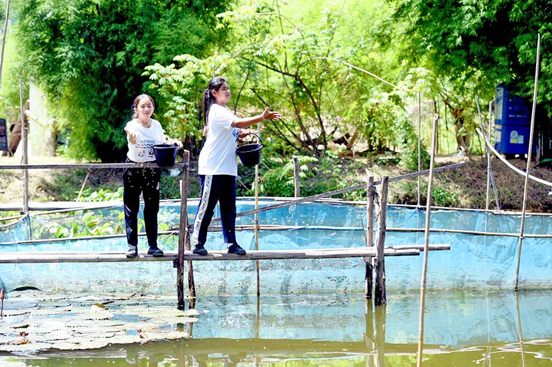 บ่อปลาและกุ้งฝอย