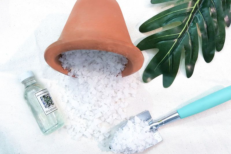 อุปกรณ์ต่างๆ ได้แก่ กระถางดินเผา เกลือแกงเม็ดใหญ่ น้ำมันหอมระเหย

