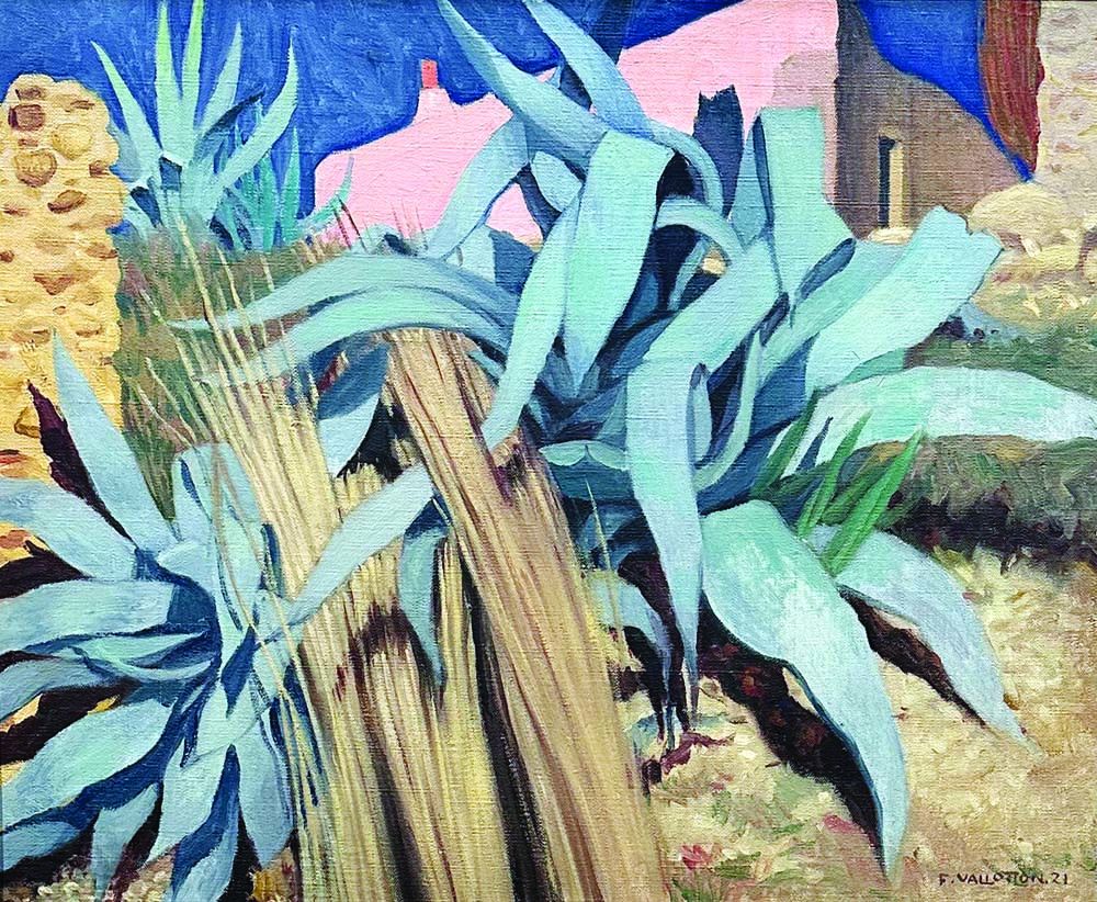 Agaves 1921

