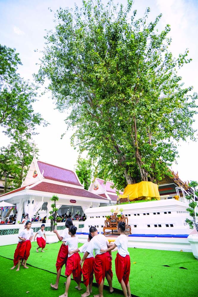 ต้นพระศรีมหาโพธิ์