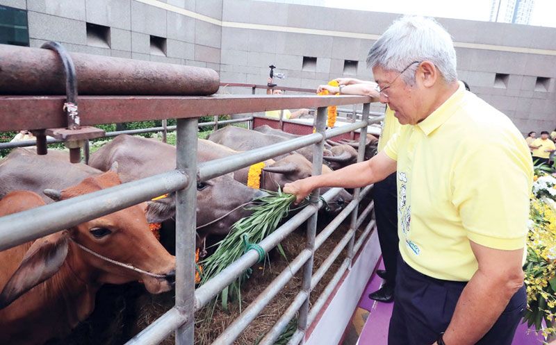 ดร.วิชิต สุรพงษ์ชัย ประธานกรรมการบริหาร ธนาคารไทยพาณิชย์ ในพิธีรับขวัญโค-กระบือที่ได้รับการไถ่ชีวิต