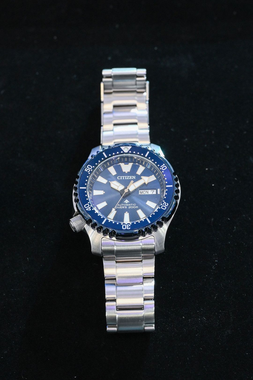 CITIZEN Promaster FUGU
Thailand Limited Edition