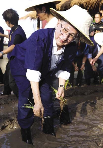 วุฒิชัย หวั่งหลี