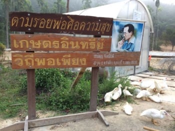 ‘บ้านบางพรวด’…ตามรอยพ่อ ปฏิวัติสวน-ชีวิตด้วย‘พอเพียง’