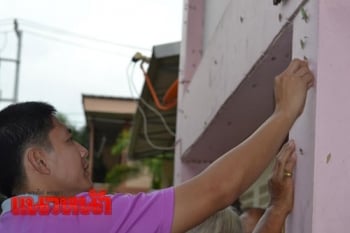 พบอีก!กองทัพหนอนบุกโรงเรียน เร่งกำจัดหวั่นเป็นอันตรายต่อเด็ก
