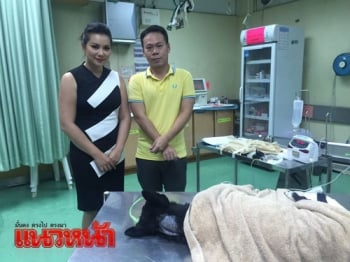 \'บุ๋ม ปนัดดา\'โร่ช่วยชีวิตสุนัขป่วย ประสานแท็กซี่อาสารับส่งโรงหมอ
