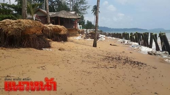 คลื่นเซาะหาดพังยาวกว่า200ม. ชาวบ้านวอนภาครัฐเร่งช่วยเหลือ