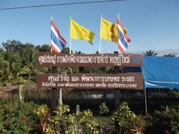 สกู๊ปพิเศษ : ศูนย์เรียนรู้การผลิตพืชตามพระราชดำริทฤษฎีใหม่ระยอง ศูนย์ฯ แห่งวิถีความพอเพียงและยั่งยืน