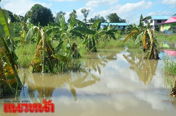 ฝนตกชุกในพื้นที่จ.พิจิตร น้ำท่วมขังสวนกล้วยเสียหาย