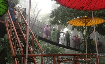 \'ดอยตุง\'ชวนสัมผัสประสบการณ์ท่องเที่ยว3ฤดู  ผ่านเส้นทางสะพานไม้ชมพรรณไม้บนความสูง30ม.