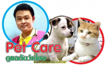 ‘กระต่าย’ ตอนจบ