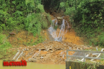 พบแล้วปมทำน้ำหลากดินสไลด์ นอภ.ตะกั่วป่าขู่ผู้\'รุกป่า\'โทษหนัก (ประมวลภาพ)