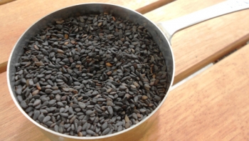 จิ๋วแต่แจ๋ว!10ประโยชน์ของ\'งาดำ\' บำรุงหัวใจแถมป้องกันโรคมะเร็ง