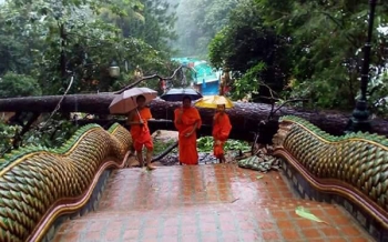 พิษฝนถล่มวัดพระธาตุดอยสุเทพฯ ไม้สนยักษ์โค่นทับบันไดพญานาค
