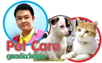 มารู้จักโรคเบาหวานกัน