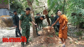 จับ\'เตี้ย ไม้พะยูง\'หน.แก๊งค้าไม้ข้ามชาติ ชักปืนจี้พระตัดไม้วัด คาด‘คนมีสี’เอี่ยว