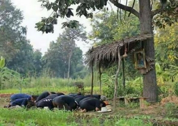 \'ทำได้เพียงกราบตรงนี้ที่นาเรา\' บทกลอนกินใจ ครูแปดริ้วแต่งถวายพ่อหลวง