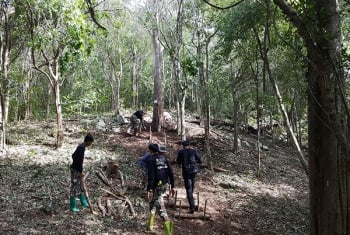จนท.เตรียมพื้นที่บวงสรวง ตัด\'ไม้จันทน์หอม\' สร้าง\'พระบรมโกศ\'รัชกาลที่๙ (ประมวลภาพ)