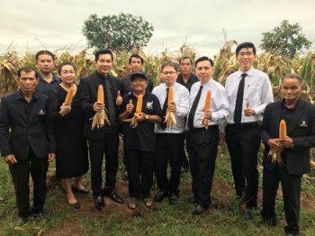 รัฐ-เอกชนร่วมพัฒนา\'บัลลังก์โมเดล\' ผลิตข้าวโพดเลี้ยงสัตว์แปลงใหญ่-ยั่งยืน