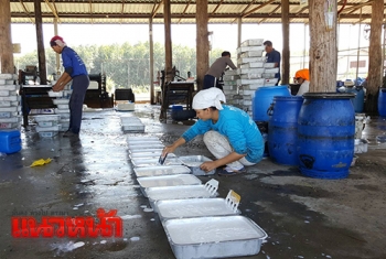 ชาวสวนยางภาคอีสานพอใจ ราคายางปรับขึ้นร่วม70บาท