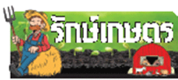 รักษ์เกษตร : ปลูกดาวเรืองรายได้ดี