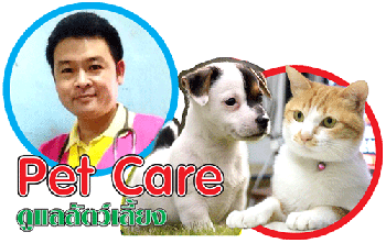 การตรวจวินิจฉัยการป่วยด้วยภาพ