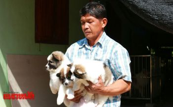 ส่องความน่ารัก‘3บางแก้ว’ เจ้าของฉีดวัคซีนรอส่งนายกฯ