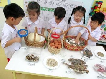 ‘Project Approach’  ต่อยอดการเรียนรู้กับลูกเจี๊ยบน้อย โรงเรียนอนุบาลกุ๊กไก่