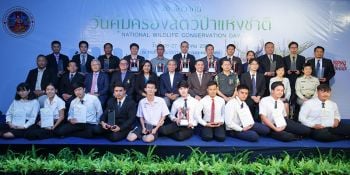 ภาพชนะเลิศประกวดภาพถ่าย ‘สัตว์มีค่า ป่ามีคุณ’