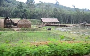 กระบี่เนรมิตที่ดิน600ไร่ เดินตามศาสตร์พระราชาบ้านไร่ตะวัน